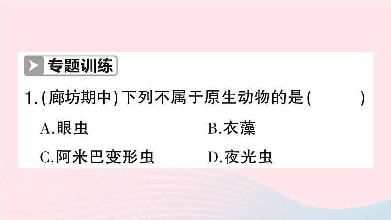 2023八年级生物下册第7单元生命的演化第22章物种的多样性微专题一各种各样的生物作业课件新版北师大版03