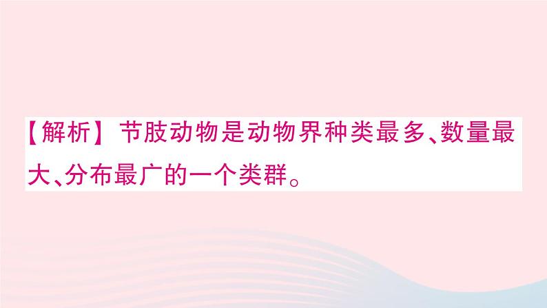 2023八年级生物下册第7单元生命的演化第22章物种的多样性微专题一各种各样的生物作业课件新版北师大版05