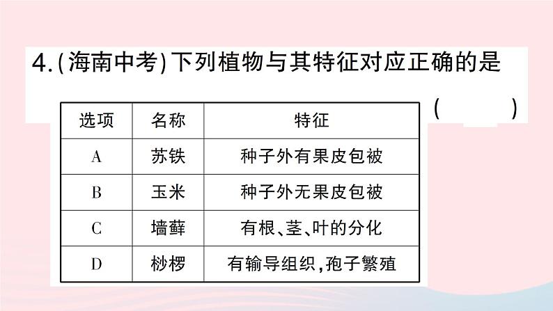 2023八年级生物下册第7单元生命的演化第22章物种的多样性微专题一各种各样的生物作业课件新版北师大版07