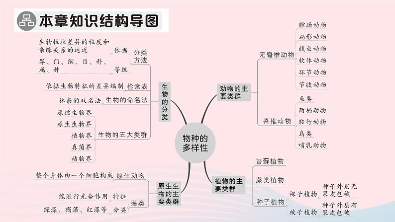 2023八年级生物下册第7单元生命的演化第22章物种的多样性总结训练作业课件新版北师大版02