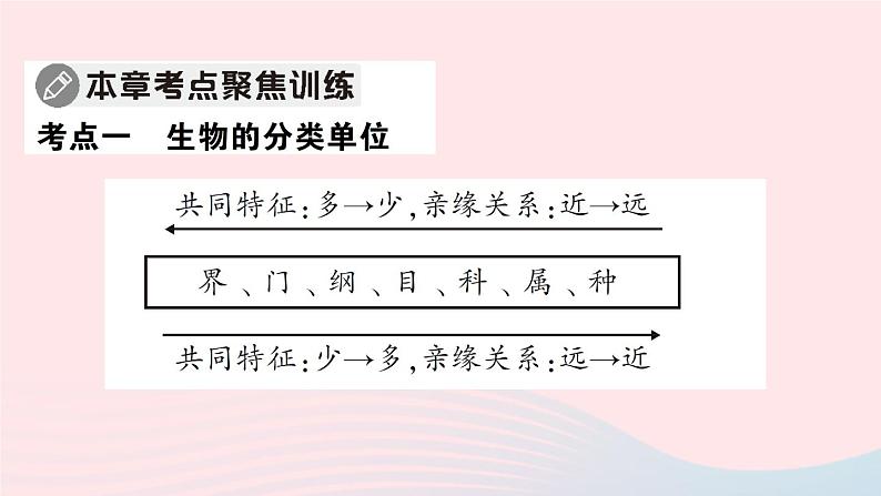 2023八年级生物下册第7单元生命的演化第22章物种的多样性总结训练作业课件新版北师大版03