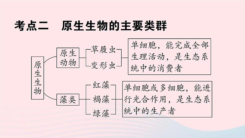 2023八年级生物下册第7单元生命的演化第22章物种的多样性总结训练作业课件新版北师大版06