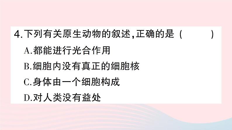 2023八年级生物下册第7单元生命的演化第22章物种的多样性总结训练作业课件新版北师大版08