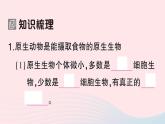 2023八年级生物下册第7单元生命的演化第22章物种的多样性第2节原生生物的主要类群作业课件新版北师大版
