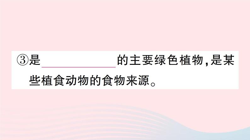 2023八年级生物下册第7单元生命的演化第22章物种的多样性第3节植物的主要类群第1课时苔藓植物和蕨类植物作业课件新版北师大版第5页