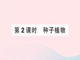 2023八年级生物下册第7单元生命的演化第22章物种的多样性第3节植物的主要类群第2课时种子植物作业课件新版北师大版