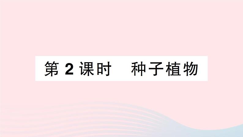 2023八年级生物下册第7单元生命的演化第22章物种的多样性第3节植物的主要类群第2课时种子植物作业课件新版北师大版第1页