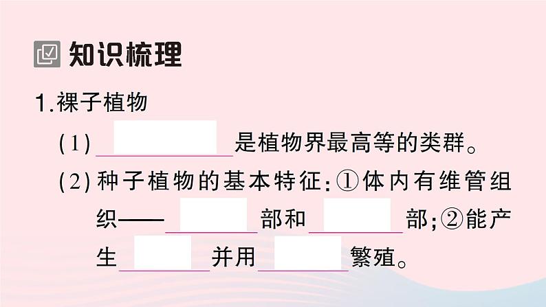 2023八年级生物下册第7单元生命的演化第22章物种的多样性第3节植物的主要类群第2课时种子植物作业课件新版北师大版第2页