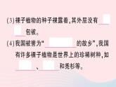 2023八年级生物下册第7单元生命的演化第22章物种的多样性第3节植物的主要类群第2课时种子植物作业课件新版北师大版