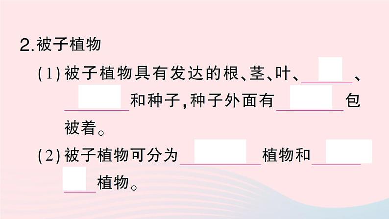 2023八年级生物下册第7单元生命的演化第22章物种的多样性第3节植物的主要类群第2课时种子植物作业课件新版北师大版第4页