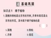2023八年级生物下册第7单元生命的演化第22章物种的多样性第3节植物的主要类群第2课时种子植物作业课件新版北师大版