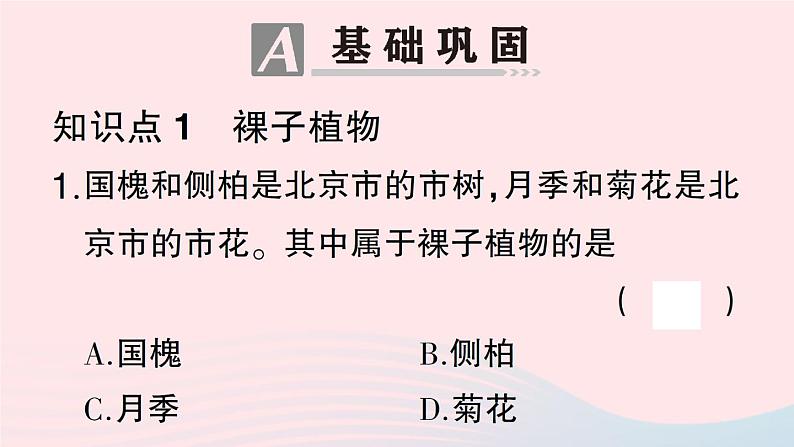 2023八年级生物下册第7单元生命的演化第22章物种的多样性第3节植物的主要类群第2课时种子植物作业课件新版北师大版第5页