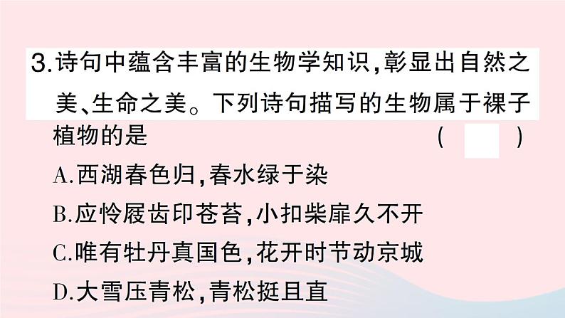 2023八年级生物下册第7单元生命的演化第22章物种的多样性第3节植物的主要类群第2课时种子植物作业课件新版北师大版第7页