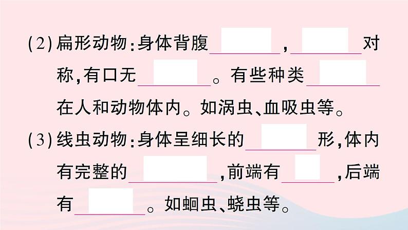 2023八年级生物下册第7单元生命的演化第22章物种的多样性第4节动物的主要类群第1课时无脊椎动物作业课件新版北师大版第4页