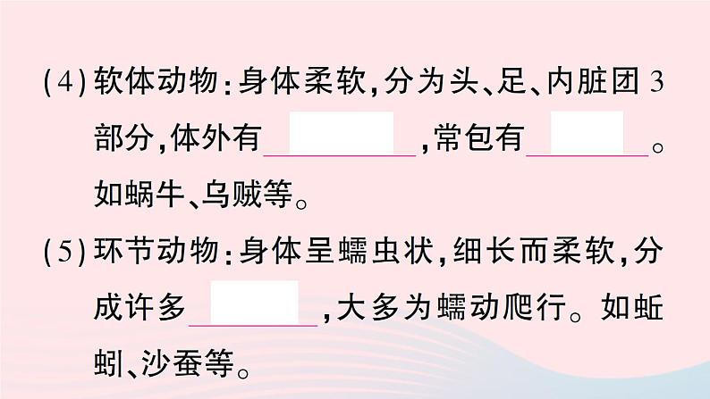 2023八年级生物下册第7单元生命的演化第22章物种的多样性第4节动物的主要类群第1课时无脊椎动物作业课件新版北师大版第5页