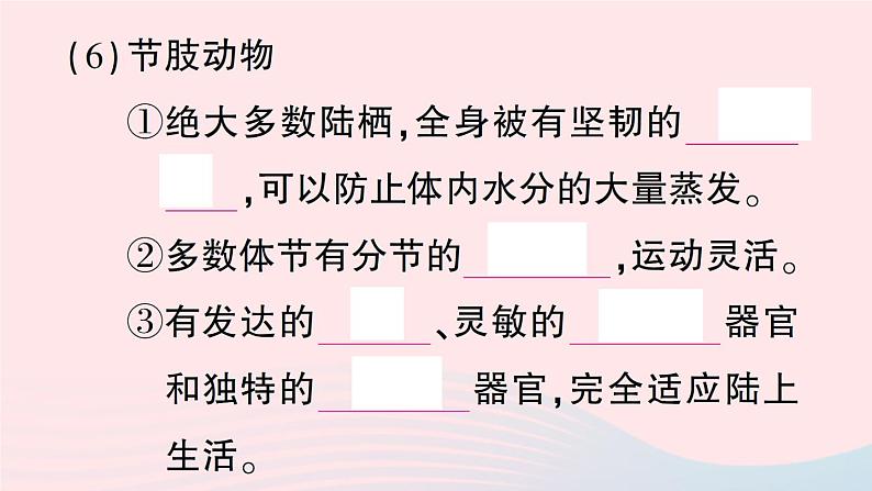 2023八年级生物下册第7单元生命的演化第22章物种的多样性第4节动物的主要类群第1课时无脊椎动物作业课件新版北师大版第6页