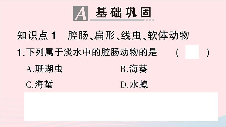 2023八年级生物下册第7单元生命的演化第22章物种的多样性第4节动物的主要类群第1课时无脊椎动物作业课件新版北师大版第8页