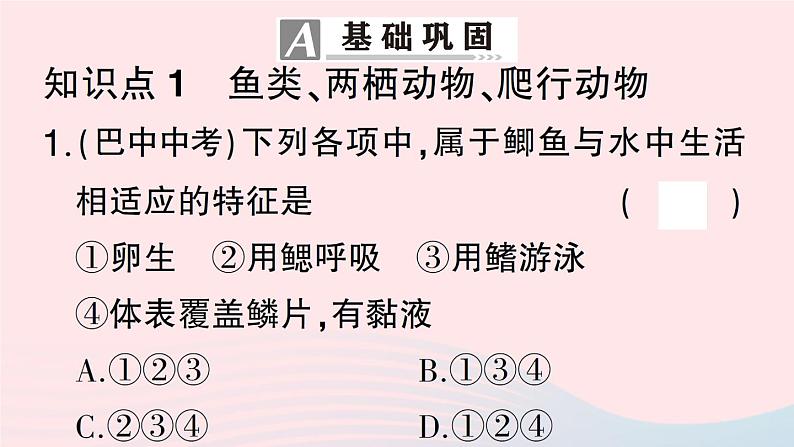 2023八年级生物下册第7单元生命的演化第22章物种的多样性第4节动物的主要类群第2课时脊椎动物作业课件新版北师大版第7页