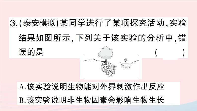 2023八年级生物下册期末复习二生物与环境作业课件新版北师大版第4页