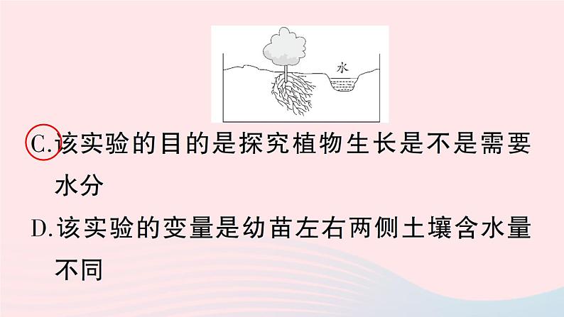 2023八年级生物下册期末复习二生物与环境作业课件新版北师大版第5页