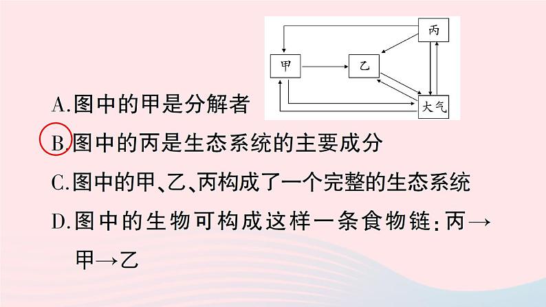 2023八年级生物下册期末复习二生物与环境作业课件新版北师大版第8页