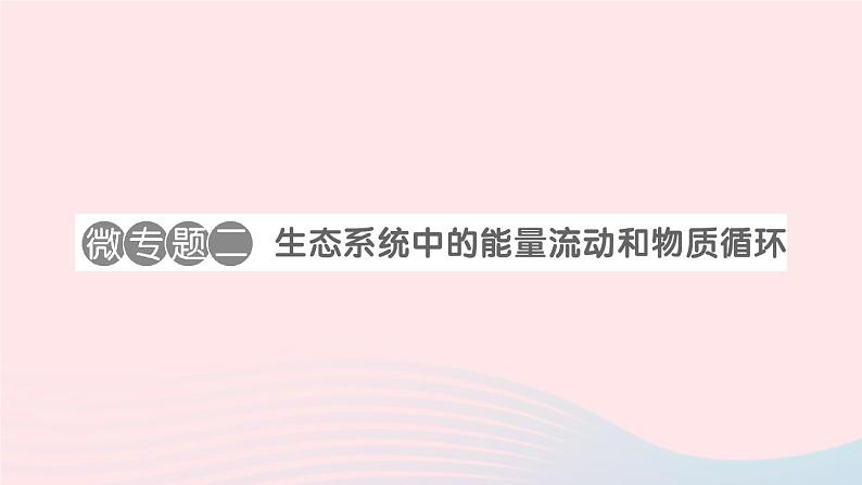 2023八年级生物下册第8单元生物与环境第23章生态系统及其稳定性微专题二生态系统中的能量流动和物质循环作业课件新版北师大版第1页