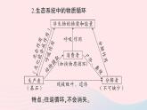 2023八年级生物下册第8单元生物与环境第23章生态系统及其稳定性微专题二生态系统中的能量流动和物质循环作业课件新版北师大版
