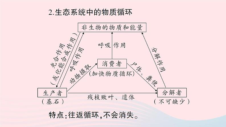 2023八年级生物下册第8单元生物与环境第23章生态系统及其稳定性微专题二生态系统中的能量流动和物质循环作业课件新版北师大版第3页