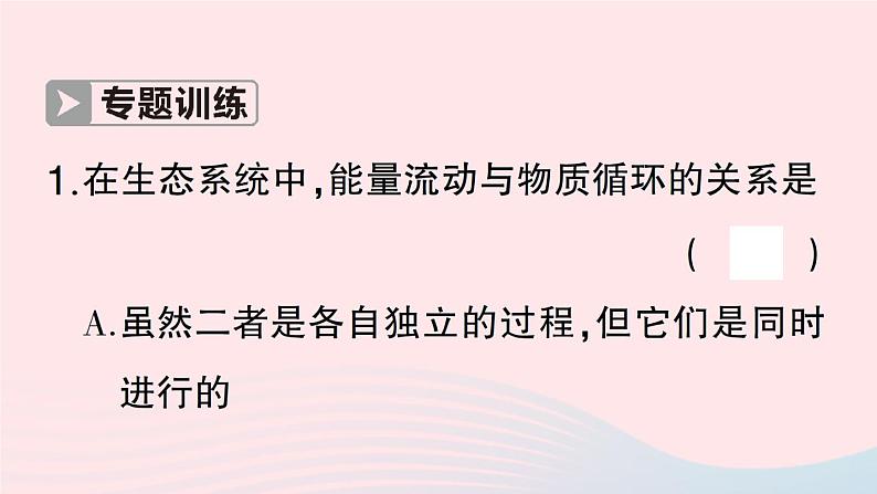 2023八年级生物下册第8单元生物与环境第23章生态系统及其稳定性微专题二生态系统中的能量流动和物质循环作业课件新版北师大版第4页