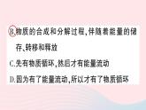 2023八年级生物下册第8单元生物与环境第23章生态系统及其稳定性微专题二生态系统中的能量流动和物质循环作业课件新版北师大版