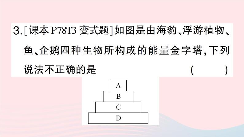 2023八年级生物下册第8单元生物与环境第23章生态系统及其稳定性微专题二生态系统中的能量流动和物质循环作业课件新版北师大版第8页