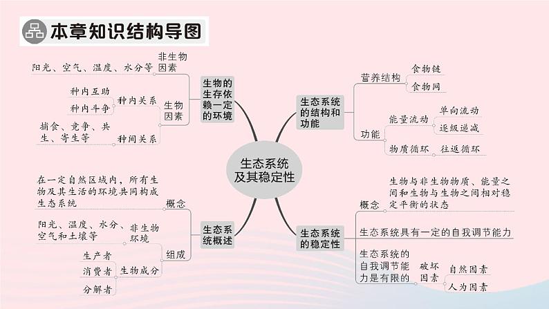 2023八年级生物下册第8单元生物与环境第23章生态系统及其稳定性总结训练作业课件新版北师大版第2页