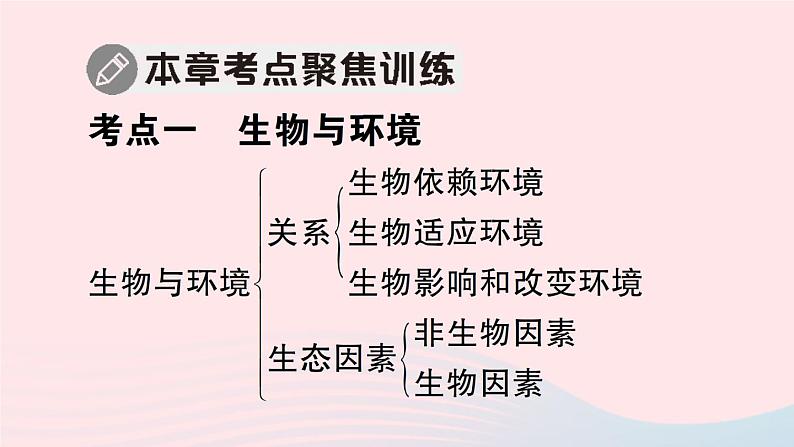 2023八年级生物下册第8单元生物与环境第23章生态系统及其稳定性总结训练作业课件新版北师大版第3页