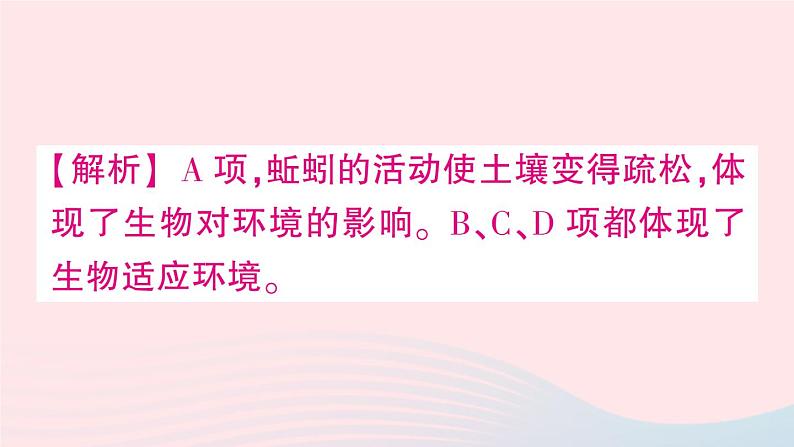 2023八年级生物下册第8单元生物与环境第23章生态系统及其稳定性总结训练作业课件新版北师大版第5页