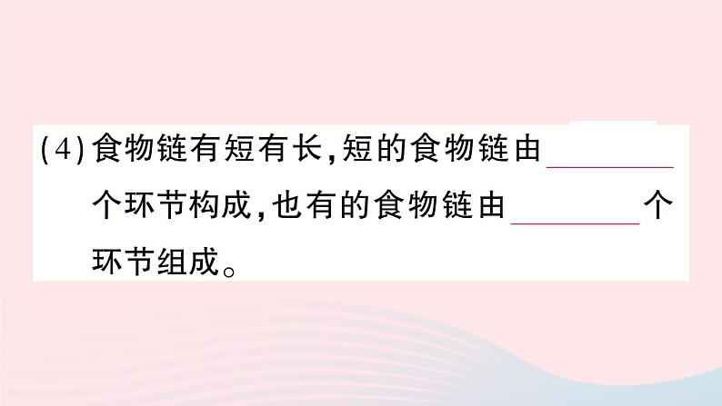 2023八年级生物下册第8单元生物与环境第23章生态系统及其稳定性第3节生态系统的结构和功能作业课件新版北师大版04