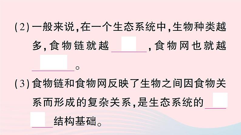 2023八年级生物下册第8单元生物与环境第23章生态系统及其稳定性第3节生态系统的结构和功能作业课件新版北师大版06