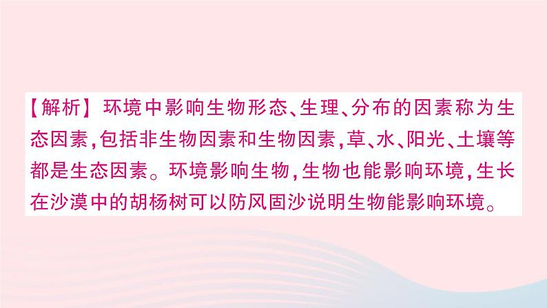 2023八年级生物下册第8单元生物与环境第23章生态系统及其稳定性综合训练作业课件新版北师大版第3页