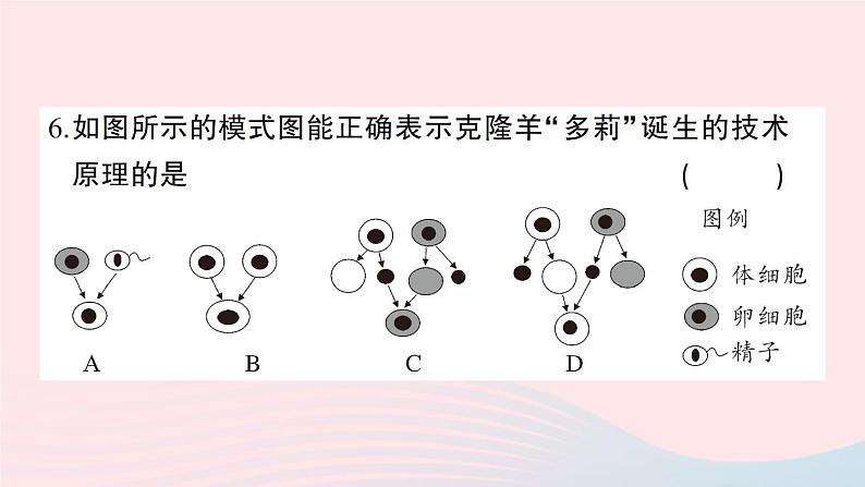 2023八年级生物下册第9单元生物技术第25章生物技术综合训练作业课件新版北师大版08