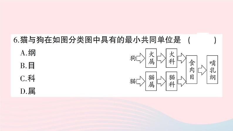 2023八年级生物下学期期中检测卷第7单元第2122章作业课件新版北师大版第7页