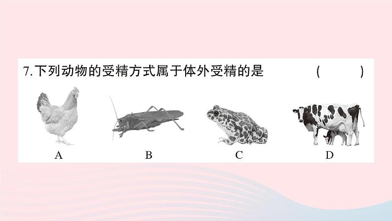 2023八年级生物下学期期中检测卷第7单元第2122章作业课件新版北师大版第8页