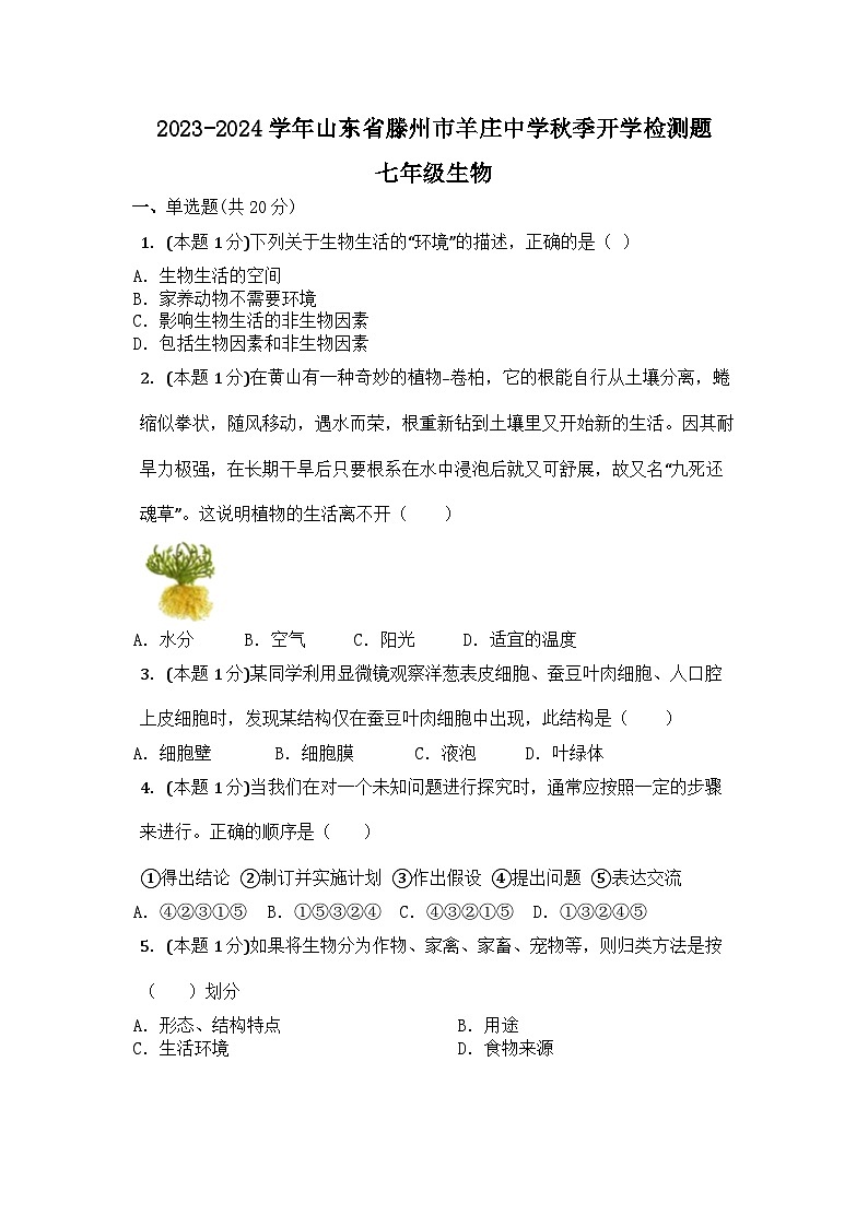 山东省滕州市羊庄中学2023-2024学年七年级上学期开学检测生物试题01