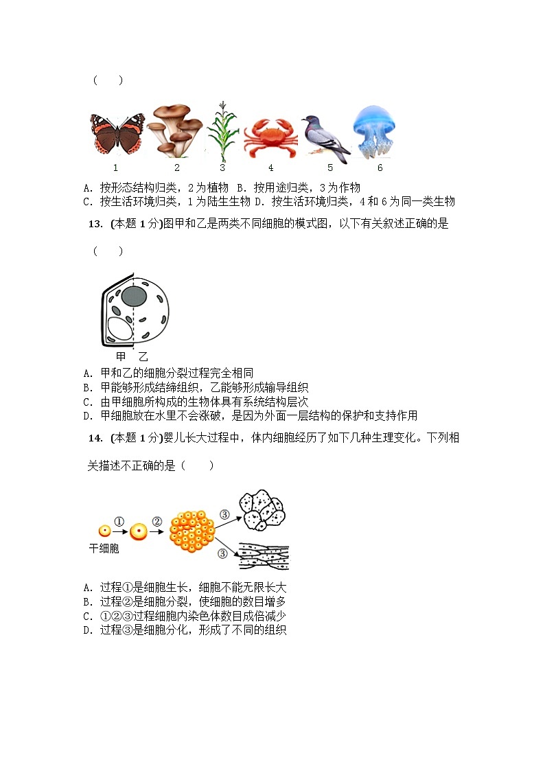 山东省滕州市羊庄中学2023-2024学年七年级上学期开学检测生物试题03