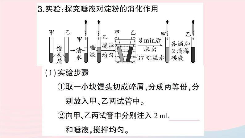 2023七年级生物下册期末复习专题一人体的营养作业课件新版北师大版第6页