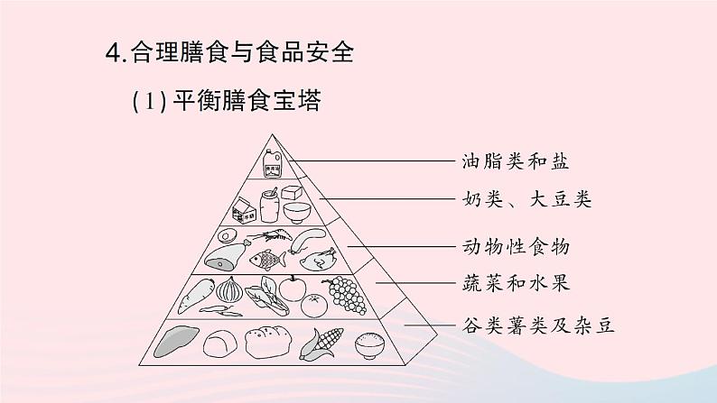 2023七年级生物下册期末复习专题一人体的营养作业课件新版北师大版第8页