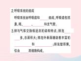 2023七年级生物下册期末复习专题三人体的能量供应作业课件新版北师大版