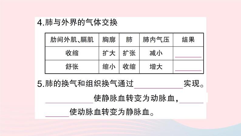 2023七年级生物下册期末复习专题三人体的能量供应作业课件新版北师大版04