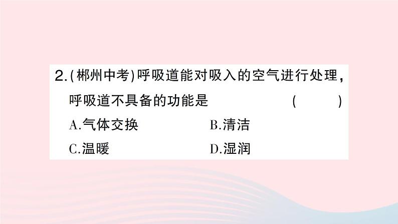 2023七年级生物下册期末复习专题三人体的能量供应作业课件新版北师大版06