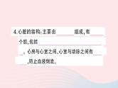 2023七年级生物下册期末复习专题二人体内的物质运输作业课件新版北师大版