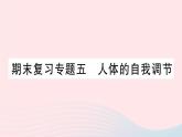2023七年级生物下册期末复习专题五人体的自我调节作业课件新版北师大版