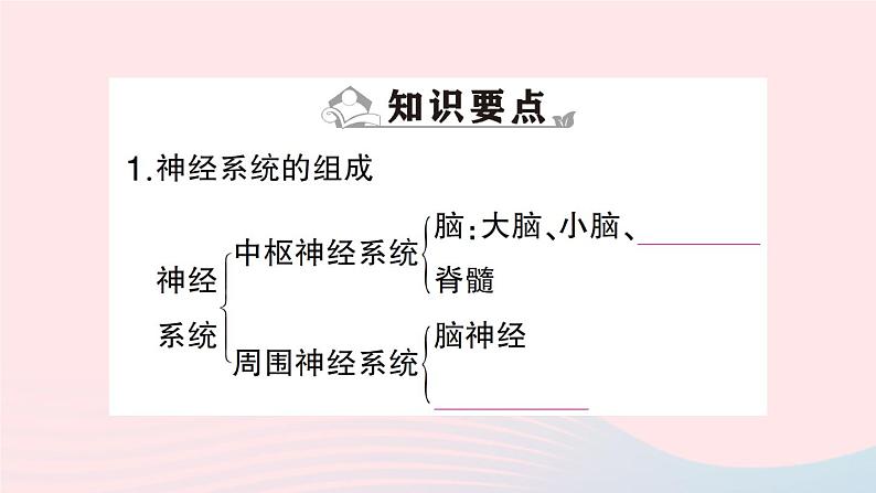 2023七年级生物下册期末复习专题五人体的自我调节作业课件新版北师大版02